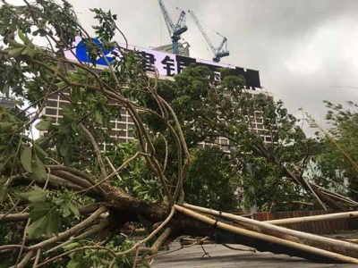 香港の台風とマンクット(山竹)について
